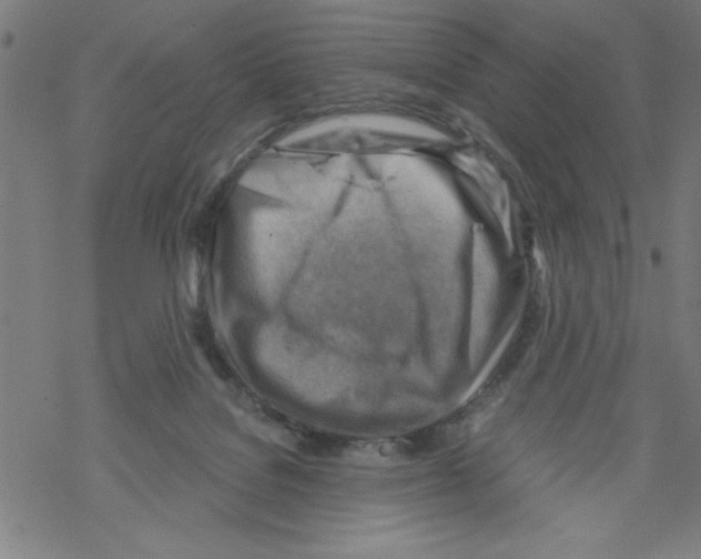 X0000067510076200605051840