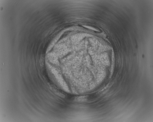 X0000067510078200605051840