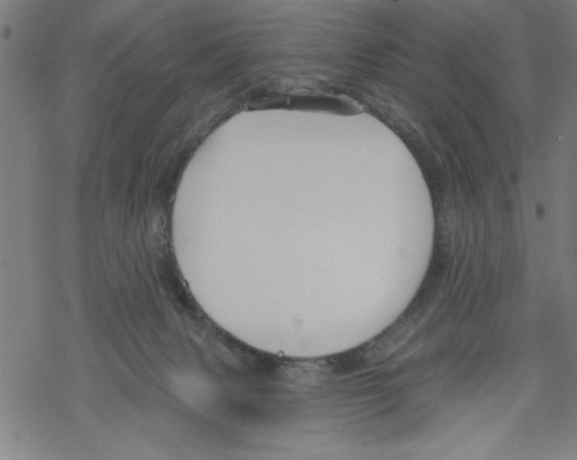 X0000067510079200605051840