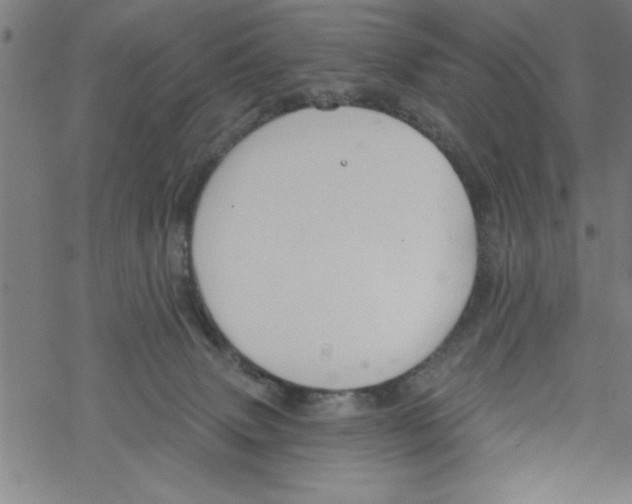 X0000067510083200605051840