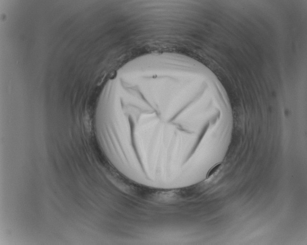 X0000067510086200605051840