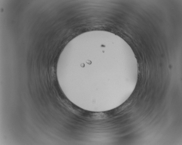 X0000067510087200605051840