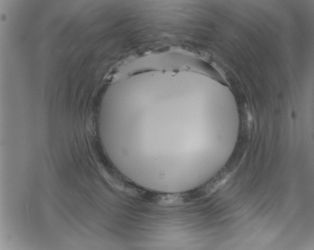 X0000067510088200605051840