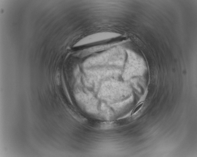 X0000067510090200605051840