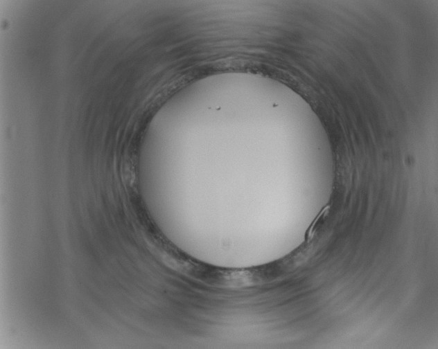 X0000067510091200605051840