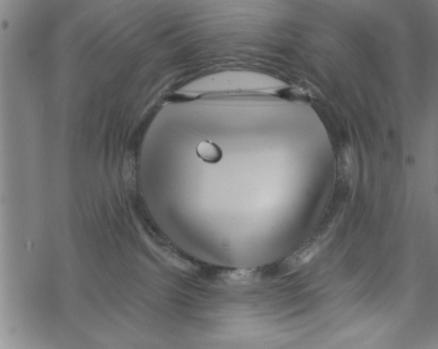 X0000067510092200605051840