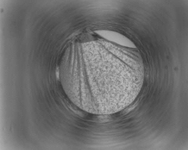 X0000067510095200605051840