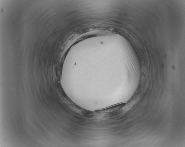 X0000067510096200605051840