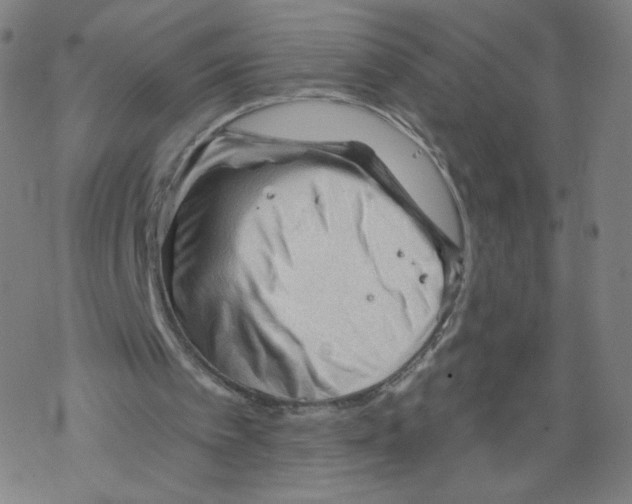 X0000067510097200605051839