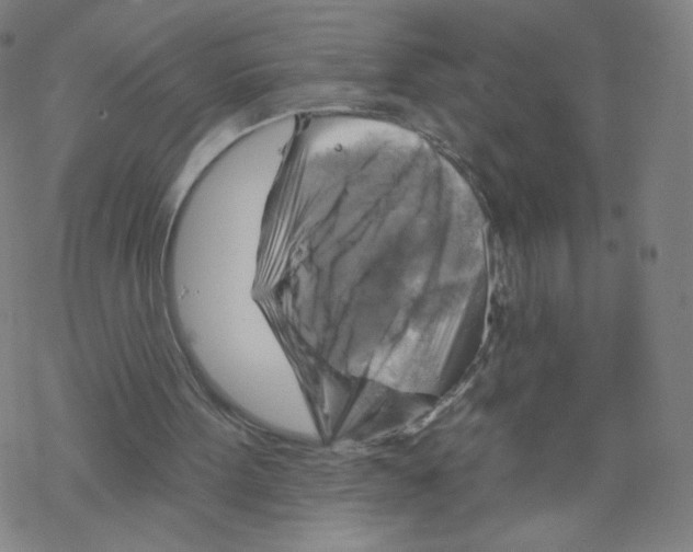 X0000067510099200605051839