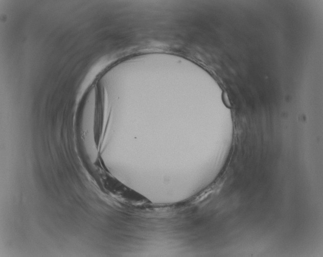 X0000067510102200605051839