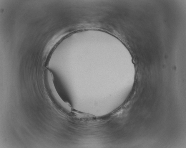 X0000067510103200605051839