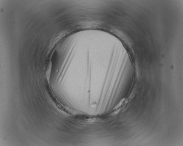 X0000067510105200605051839