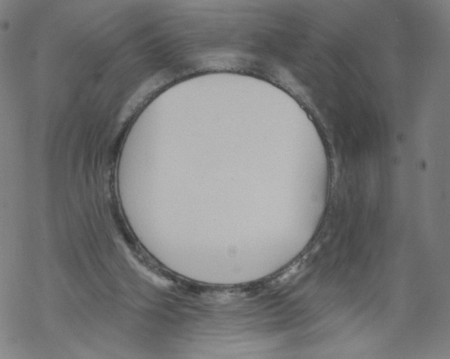 X0000067510106200605051839