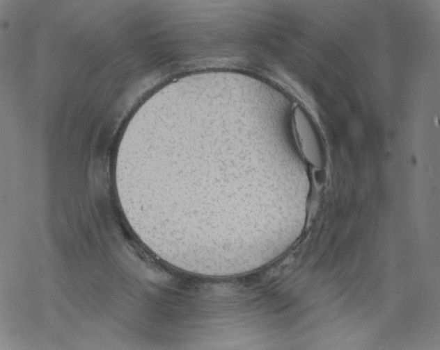 X0000067510107200605051839