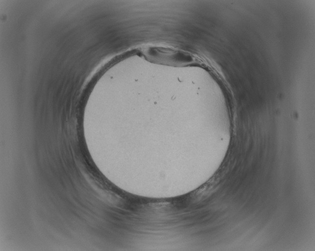 X0000067510108200605051839