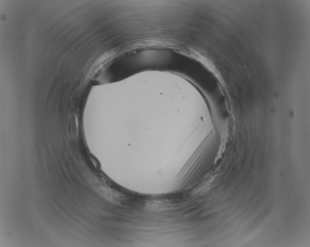 X0000067510109200605051839