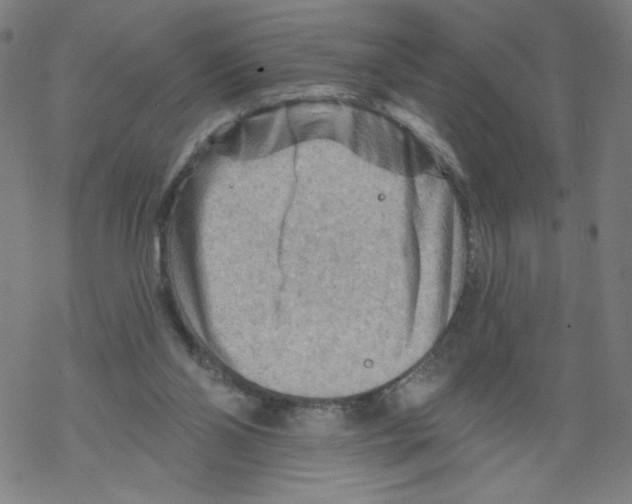 X0000067510110200605051839