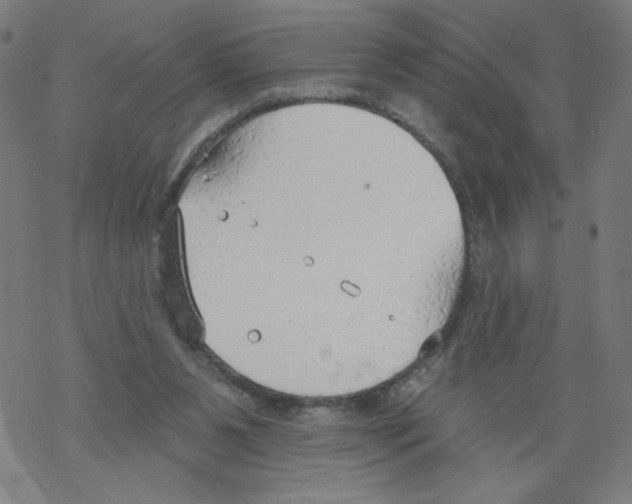 X0000067510111200605051839