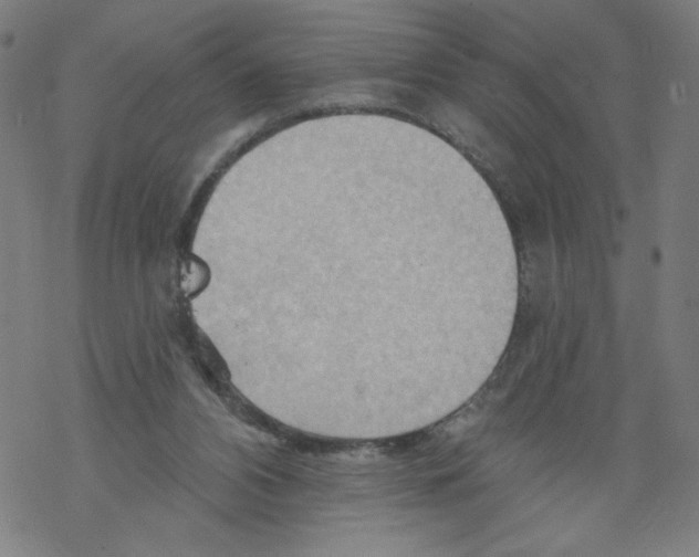 X0000067510112200605051839