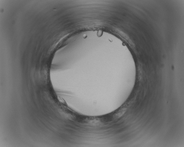 X0000067510113200605051839