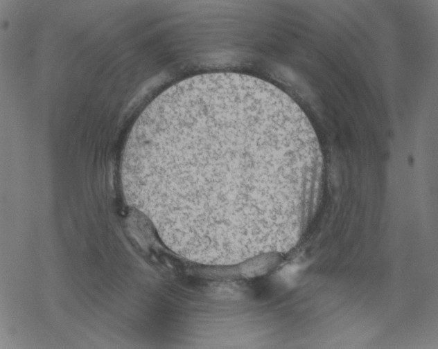 X0000067510115200605051839