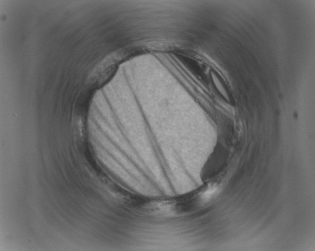 X0000067510117200605051839