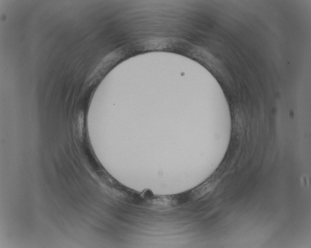 X0000067510118200605051839