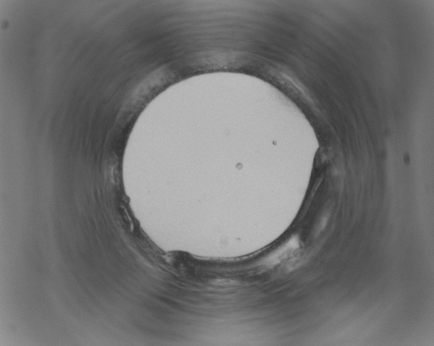 X0000067510119200605051839