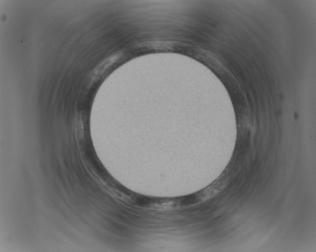 X0000067510120200605051839