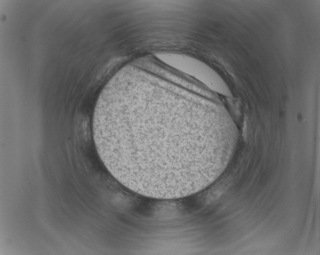 X0000067510123200605051839