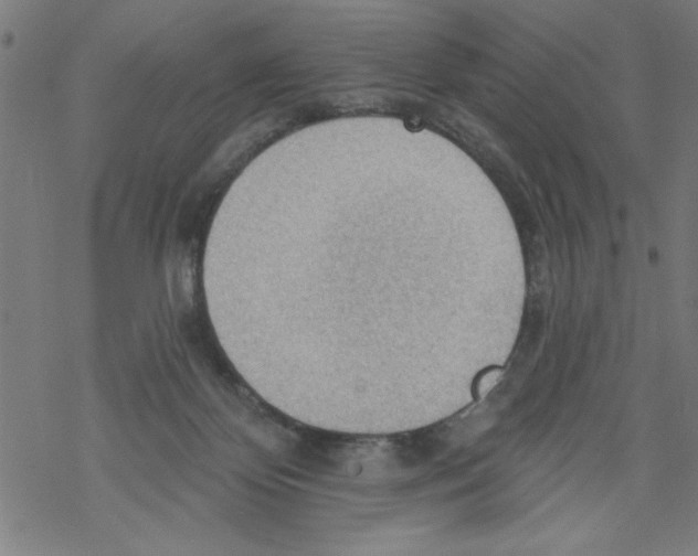 X0000067510124200605051839