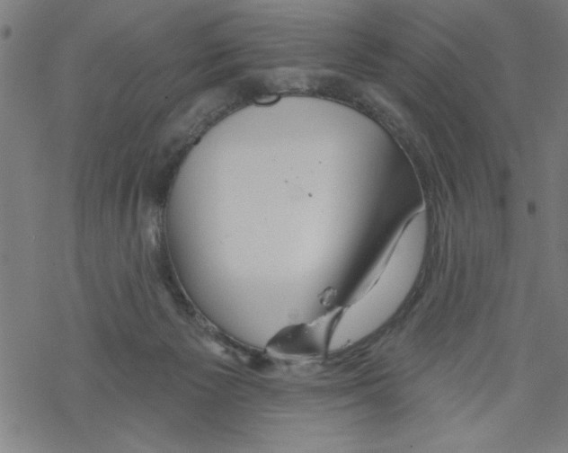 X0000067510125200605051839