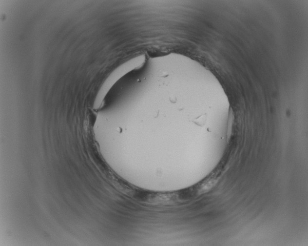 X0000067510129200605051839