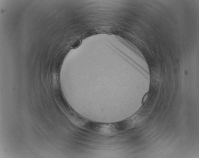 X0000067510130200605051839