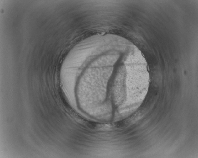 X0000067510131200605051839