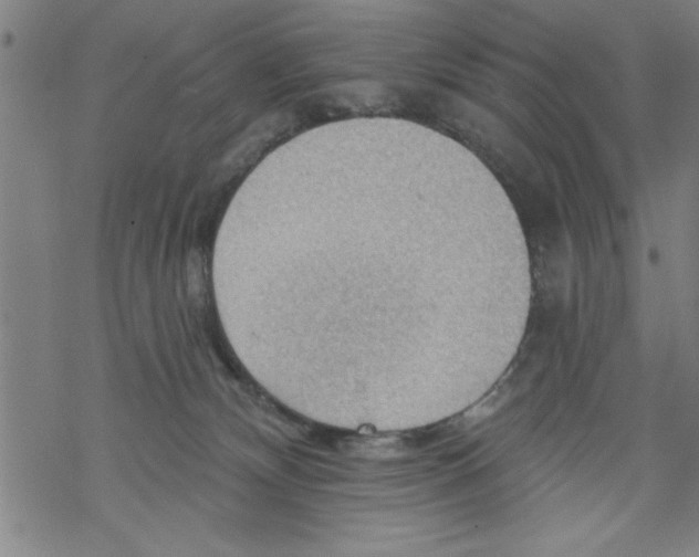 X0000067510132200605051839