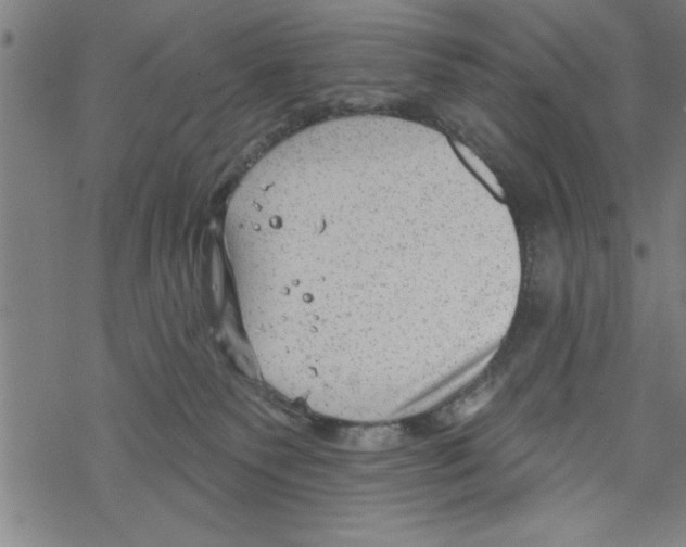 X0000067510135200605051839