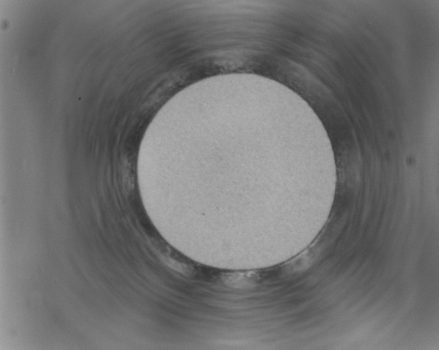 X0000067510136200605051839