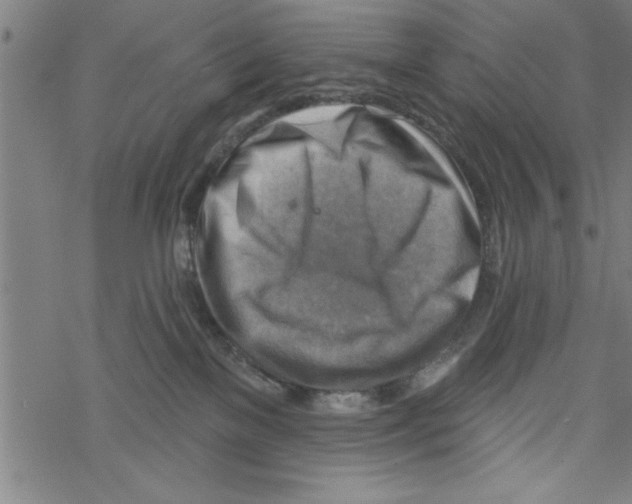 X0000067510137200605051839