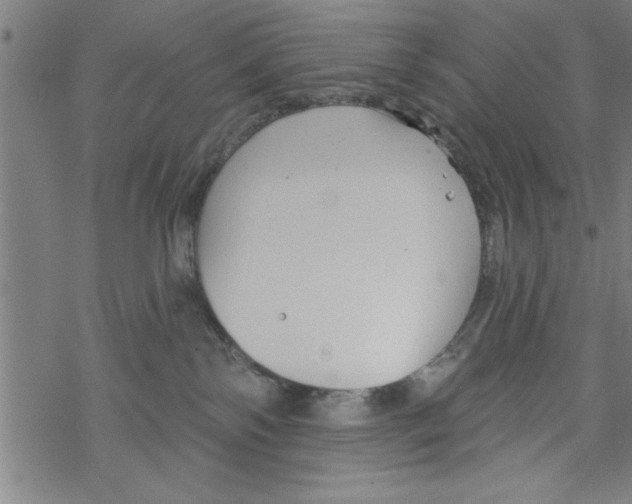 X0000067510138200605051839