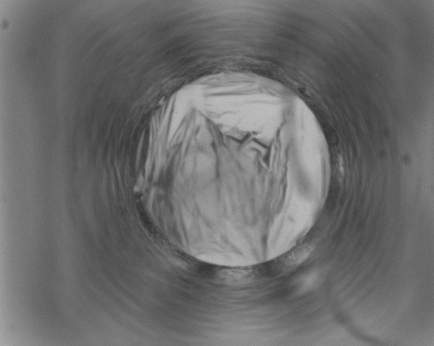 X0000067510139200605051839