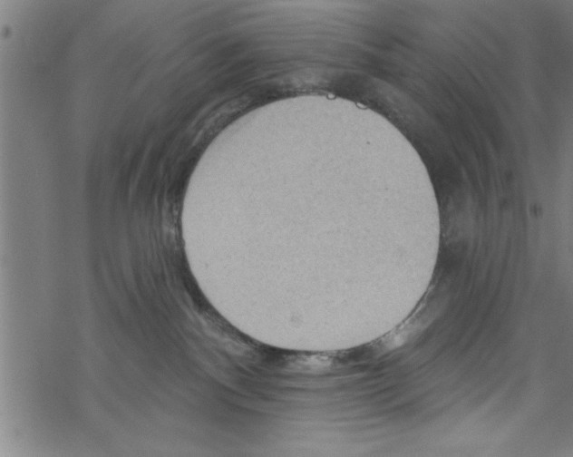 X0000067510140200605051838