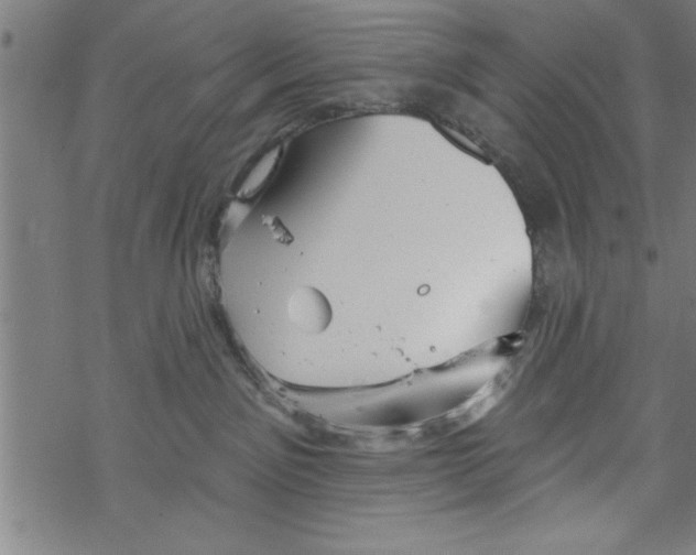 X0000067510141200605051838