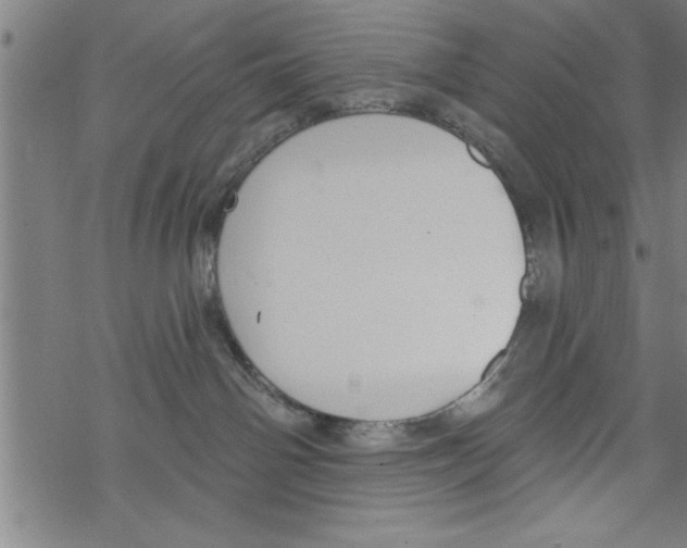 X0000067510142200605051838