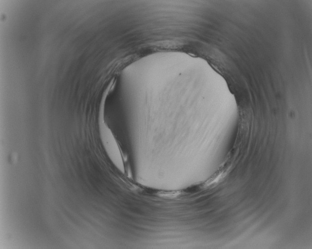 X0000067510143200605051838