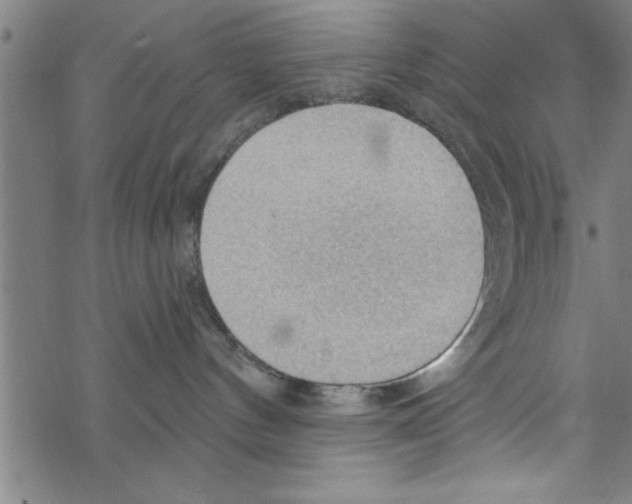 X0000067510144200605051838