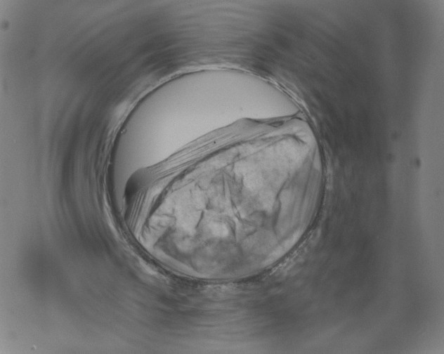 X0000067510145200605051838