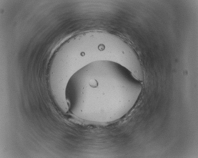 X0000067510146200605051838