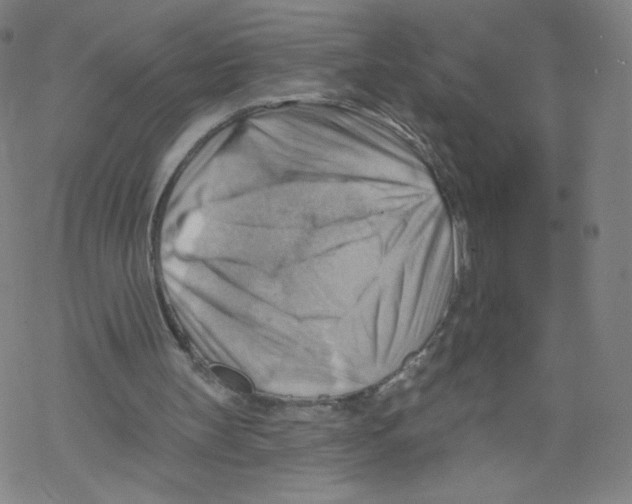 X0000067510147200605051838